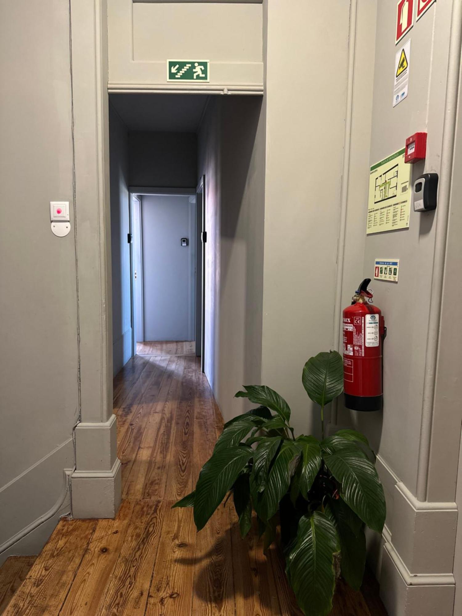 אבאירו A Beira Hostel מראה חיצוני תמונה